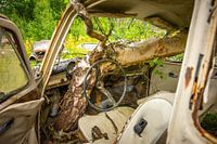 Bastnas car cemetery in sweden