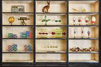 Das Raritätenkabinett