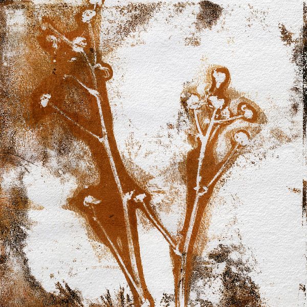 Blumen in rostigem Braun auf Weiß. Moderne botanische minimalistische Kunst von Dina Dankers