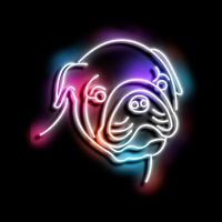 bulldog neon art