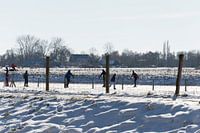 Holländischer Winter