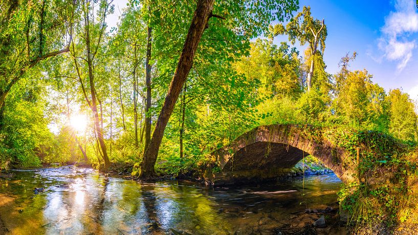 Vieux pont dans la forêt par Günter Albers
