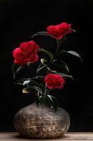 Stilleven  Camellia in vaas