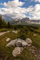 Einsamer Baum in den Dolomiten
