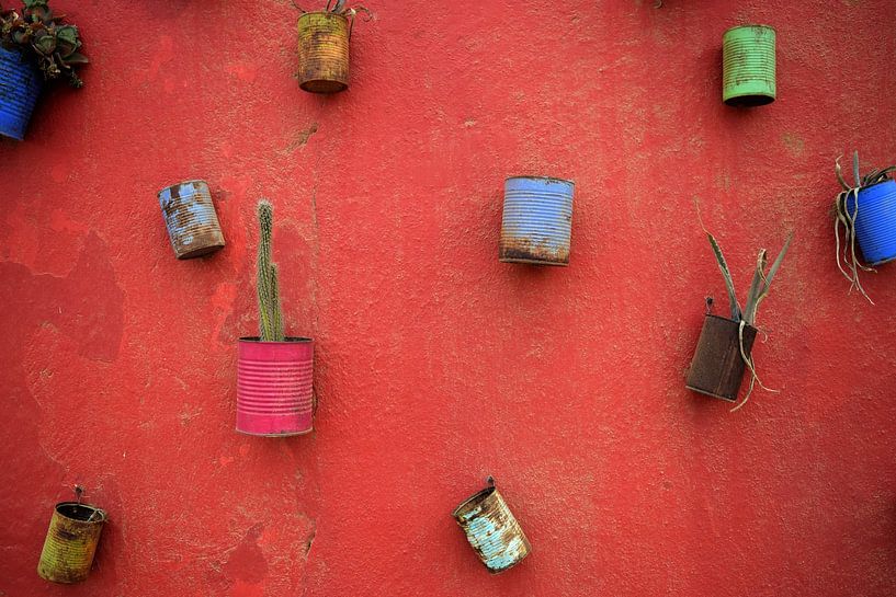 Leuchtend rote Wand mit rustikalen bunten Dosen und kleinen Kaktuspflanzen von Studio LE-gals