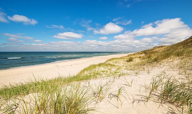 Küstenlandschaft Sylt par Dirk Thoms