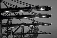 Hamburg - Ladekrane im Hamburger Hafen