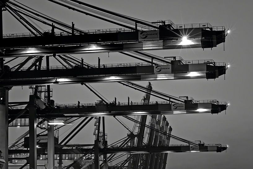 Hamburg - Laadkranen in de haven van Hamburg van Dekorative Hamburg Fotos