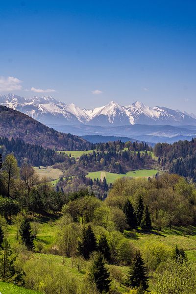 Montagnes Tatry en Pologne au printemps par Patrycja Polechonska