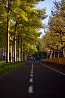 Fahrradweg neben dem Museumplein, Amsterdam 2024