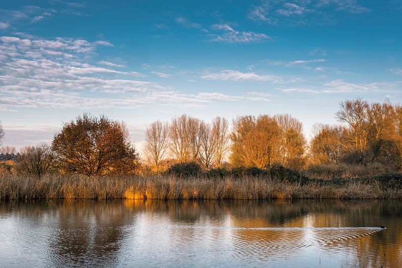 Autumn colors reflected in the still waters of a lake near Rotterdam the Netherlands by Tjeerd Kruse