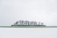 April-Grillen in Haspengouw