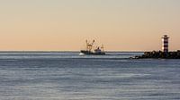 Fishing vessel between the piers on its way to IJmuiden.