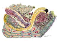 Duck In The Fish Pond