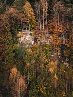 Cabane en bois dans une atmosphère d'automne