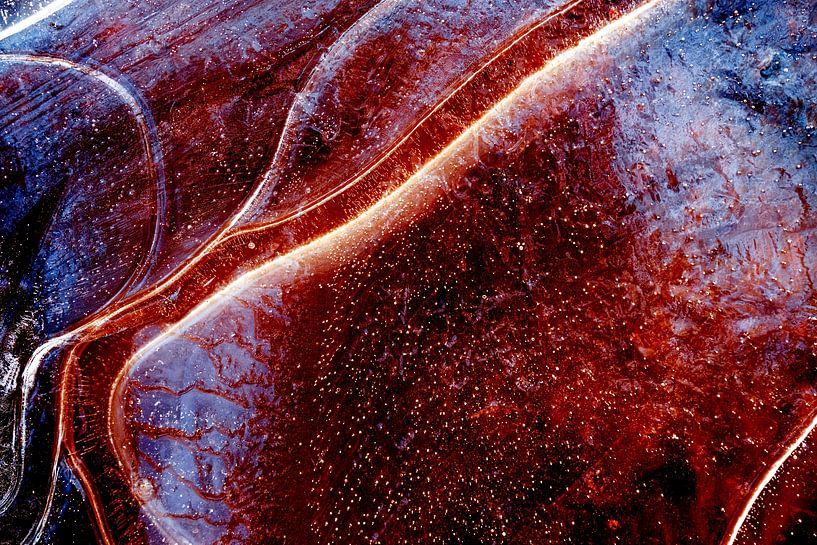 Résumé de Nature 4 par Fred Schuch