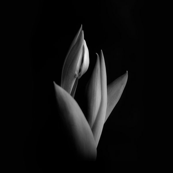 ein flüchtiger blick #003 von Peter Baak