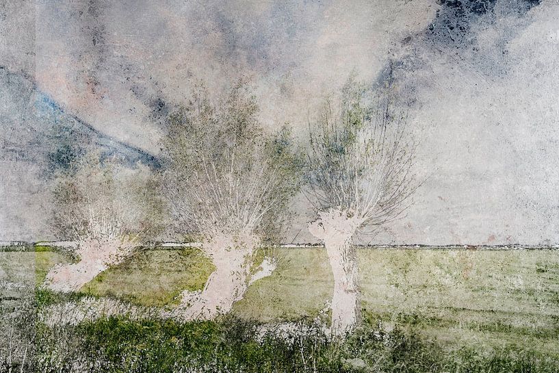 the wind in the willows by Peter Baak