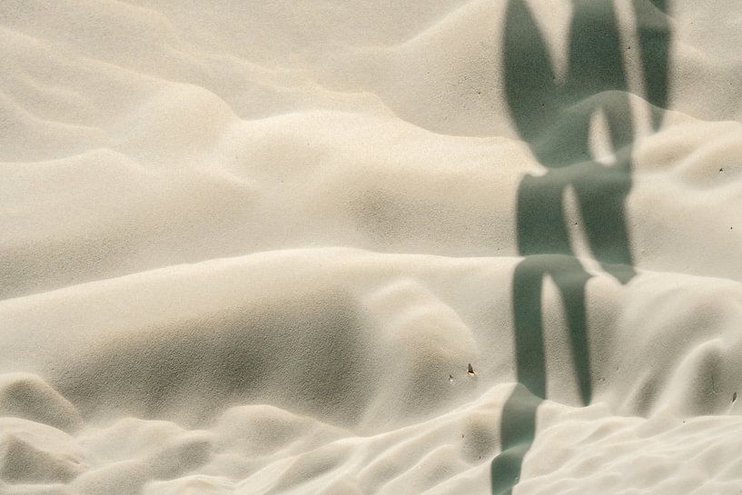 Graffiti naturel 2 par Alie Ekkelenkamp