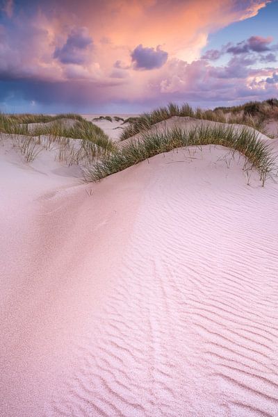 Dünen von Bob Luijks
