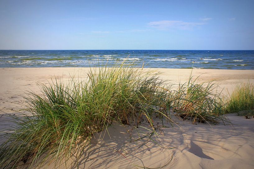 Sommerdünen von Ostsee Bilder