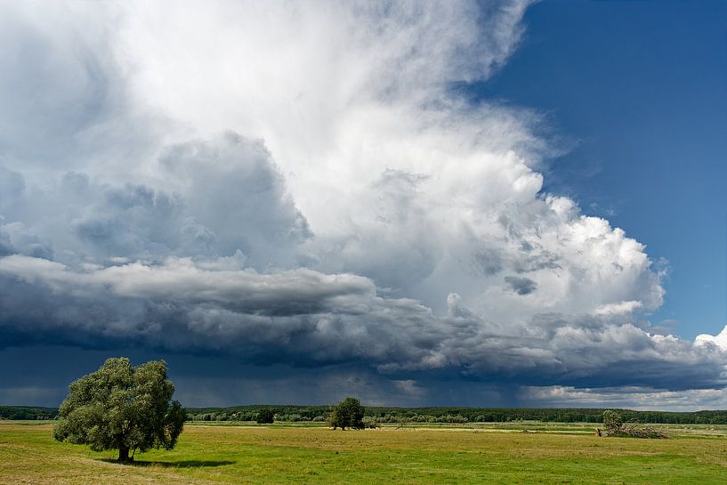 Sunny weather and thunderstorm front by Ralf Lehmann