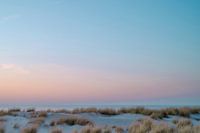 Dunes au coucher du soleil - La Haye