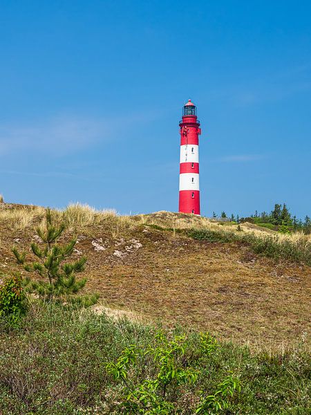 Leuchtturm in Wittdün auf der Insel Amrum von Rico Ködder
