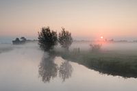Sonnenaufgang mit Nebel Donkse Laagten Alblasserwaard