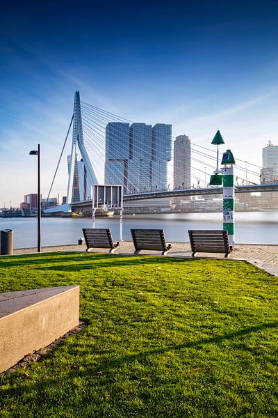 Die Skyline von Rotterdam entlang der Maas mit der charakteristischen Erasmusbrücke und der modernen von gaps photography