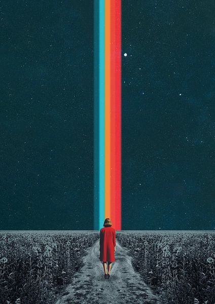 Folgen Sie Ihrem eigenen Weg von Daniel Donocik