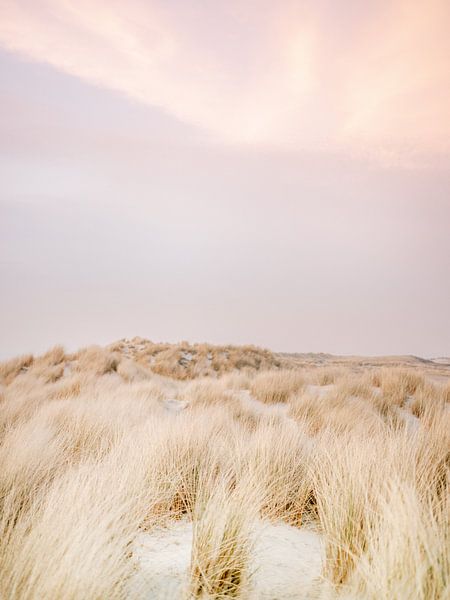 The dunes of Ameland | Colourful pastel beach photography by Raisa Zwart Travel Photography Prints