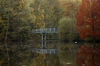 Autumn reflection on the water
