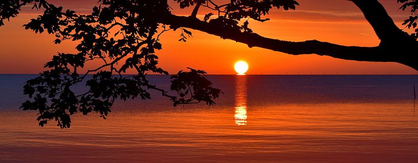 Tropisch buitenland? by Patrick Hartog