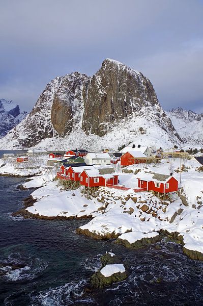 Winter idyll on the Lofoten by Reinhard  Pantke