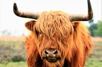 Portrait d'un Highlander écossais