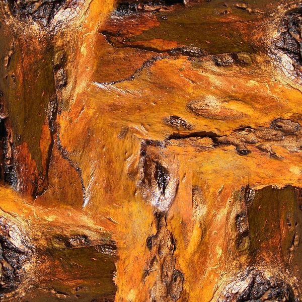 Bark (002) von Jeroen van der Meij