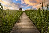 Kiekkaaste Nieuwe Statenzijl