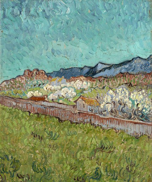 Vincent van Gogh, Vue des Alpilles par 1000 Schilderijen
