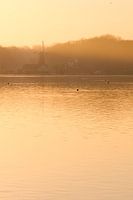 A morning at the Kralingse Plas