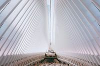 New York - Oculus