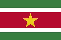 Surinamische Flagge