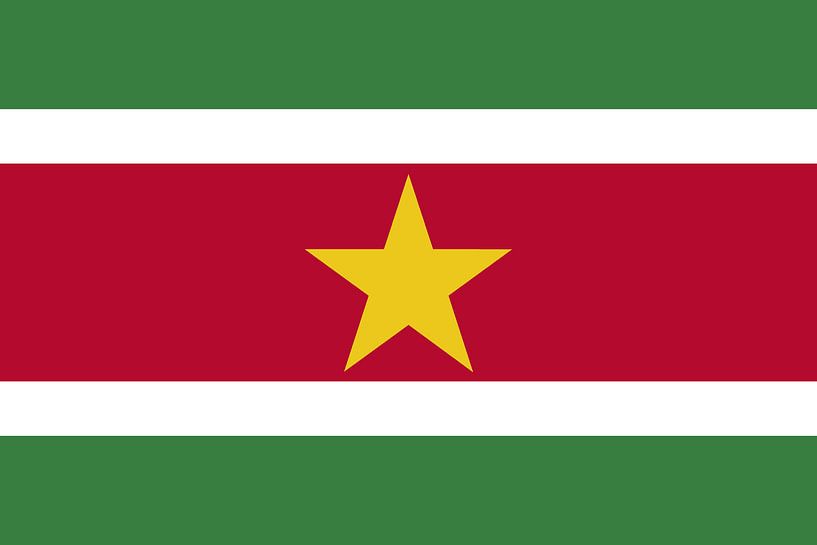 Surinamische Flagge von De Vlaggenshop