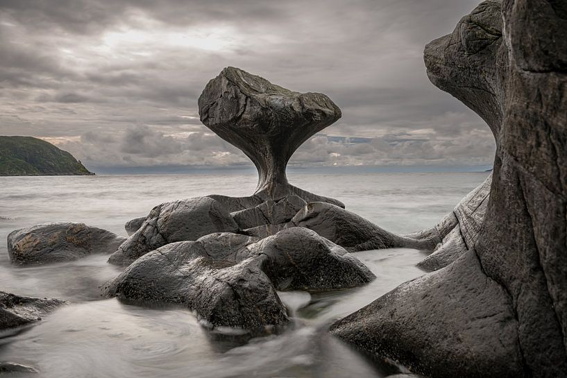 Eine natürliche Skulptur von Gerry van Roosmalen