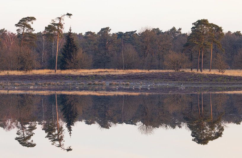 Sunrise Dwingelderveld - Drenthe (Netherlands) by Marcel Kerdijk