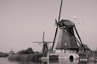 Molen