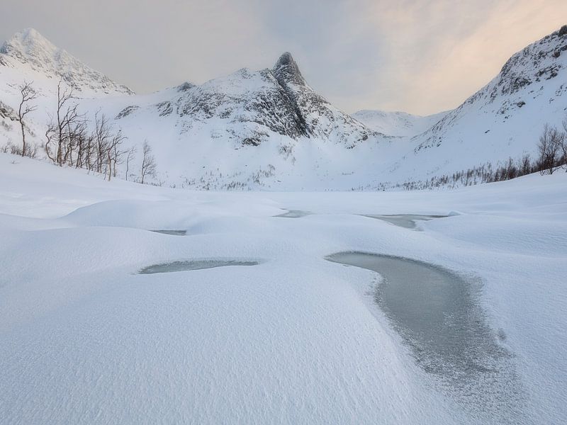 Verschneiter See mit den schönen Bergen von Senja in Norwegen im Hintergrund. von Jos Pannekoek