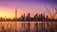Toronto sunset skyline