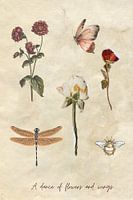 Une danse de fleurs et d'ailes - Fleurs et insectes séchés dans les tons beiges