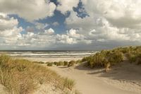 plage, mer et dunes d'Ameland